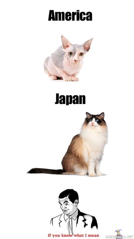 USA and Japan - if you know what i mean..