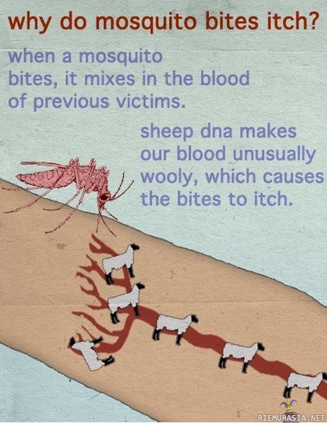 Why mosquito bites itch?