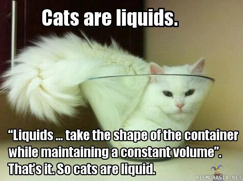 Cats are liquids