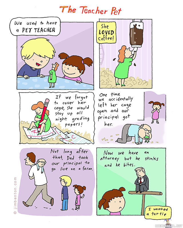 Pet teacher