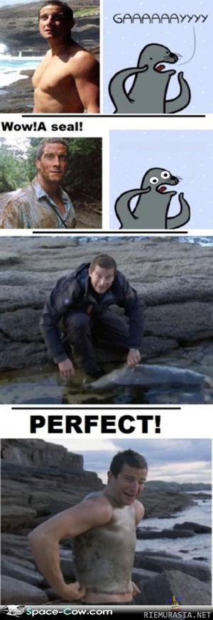 Seal vs. Grylls
