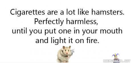 Cigarettes are a lot like hamsters