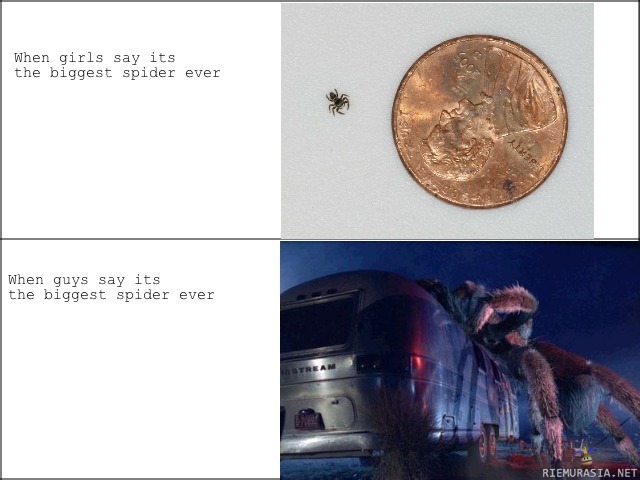 biggest spider ever