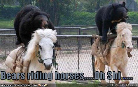 Bears riding horses!