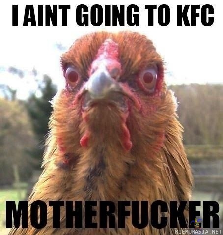 Kana ei halua KFC:hen