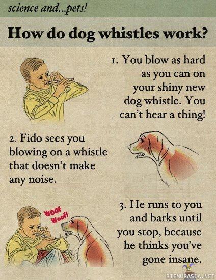 How dog whisltes work?