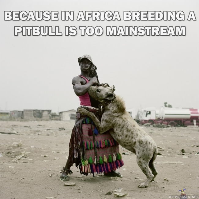 Pitbulls are too mainstream in Africa