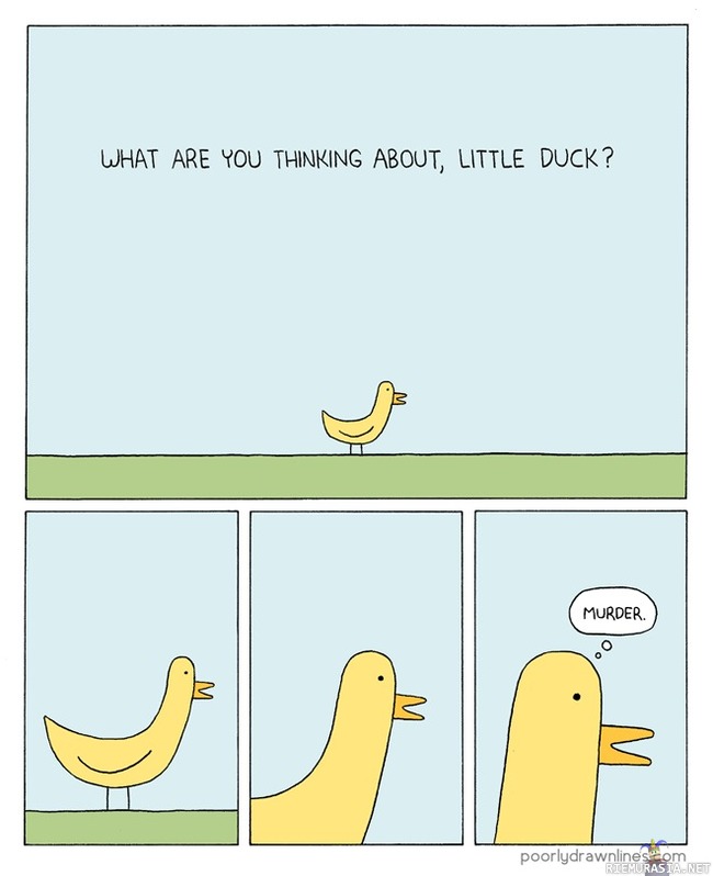 a little duck