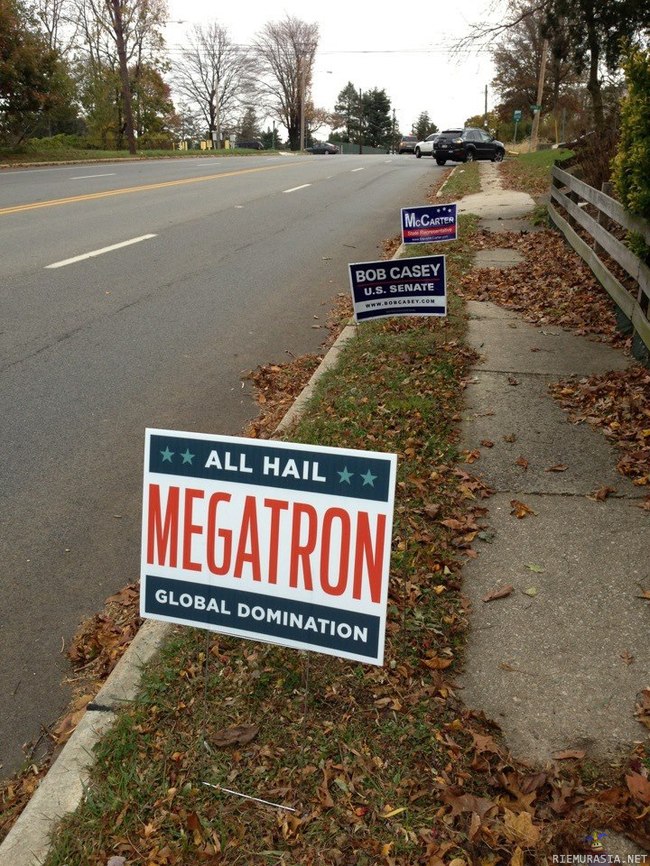 Vote for Megatron