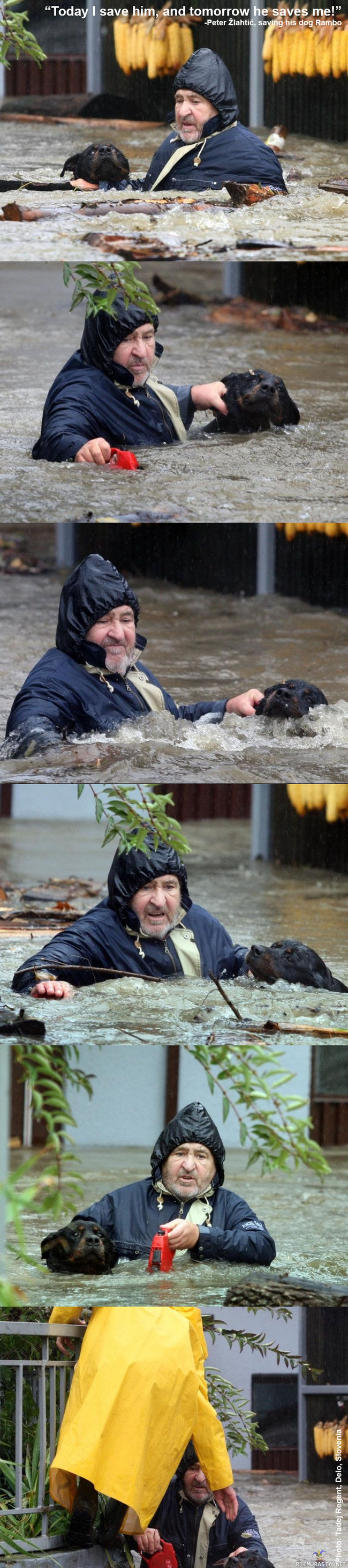 Today I save him, and tomorrow he will save me! - Peter Zlahtic pelastamassa koiraansa tulvassa