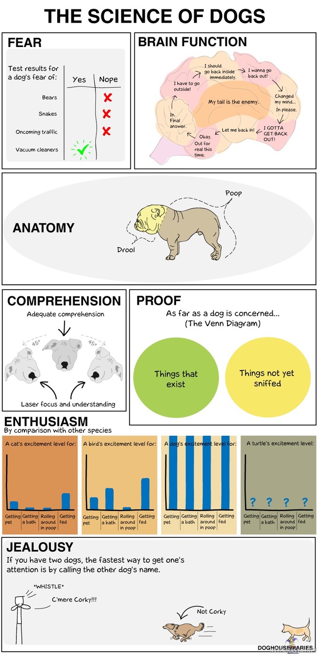 the Science of dogs