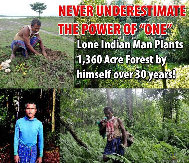 Never underestimate the power of one. - Mies istutti metsän yksin, LÄHTEET: http://goo.gl/yFYse