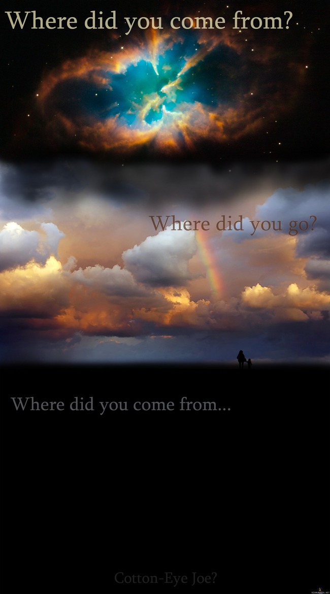 Where did you come from? - Where did you go?..