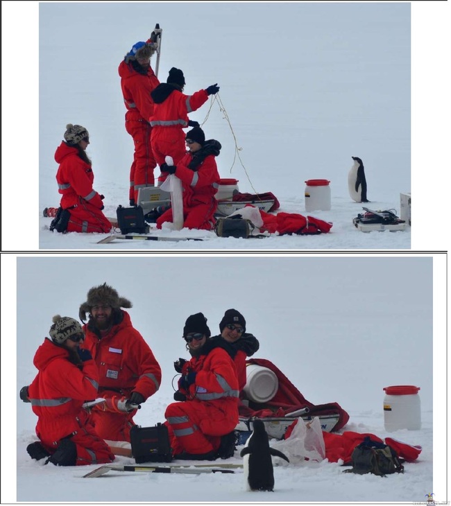 Utelias pingviini - &quot;Olisko teillä hetki aikaa keskustella vapahtajastamme Linuxista?&quot;