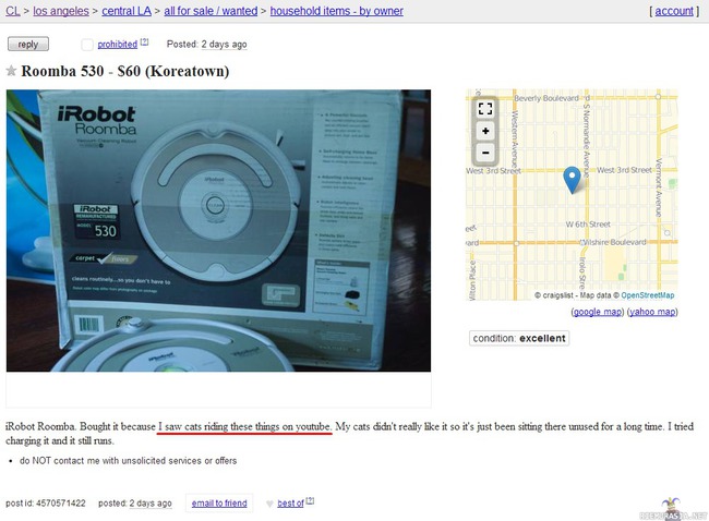 Roomba myynnissä - Kissat ei tykänneetkään ratsastaa sillä kuten youtubessa