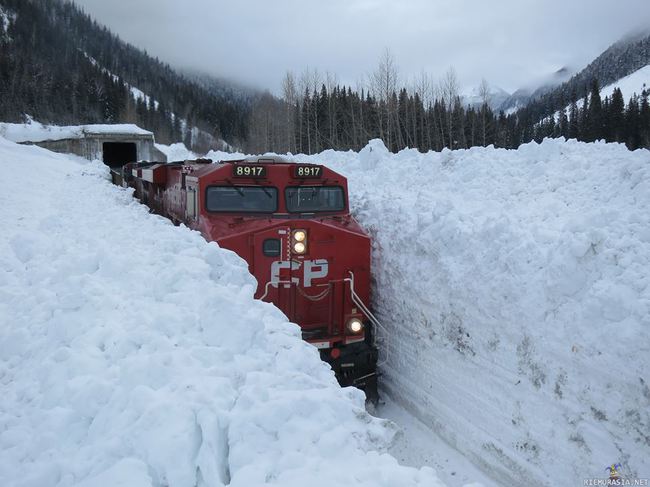 Juna Kanadassa - Pari senttiä lunta sadellut tässä lähiaikoina..