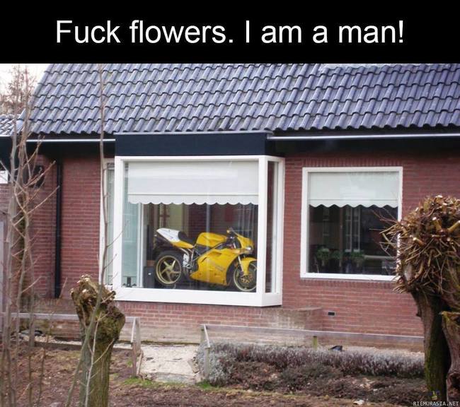 Miehekäs ikkunakoriste - Hittoako niillä kukkasilla tekee, laittaa vaikka moottoripyörän ikkunalle jos siltä tuntuu