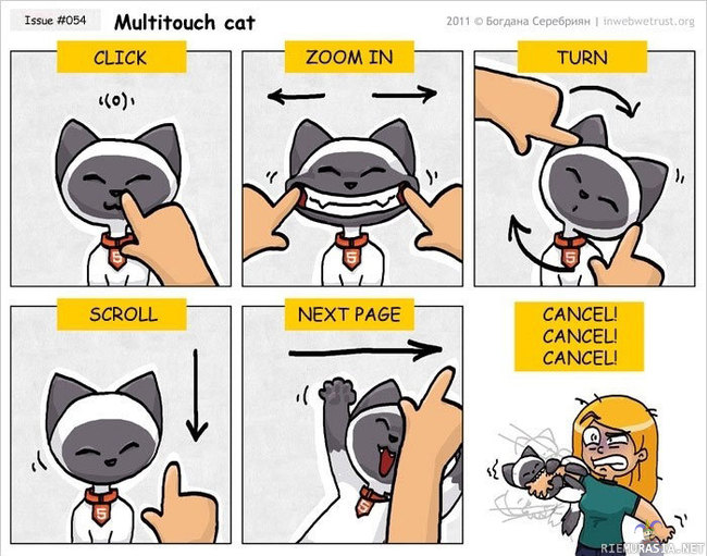 Multitouch cat