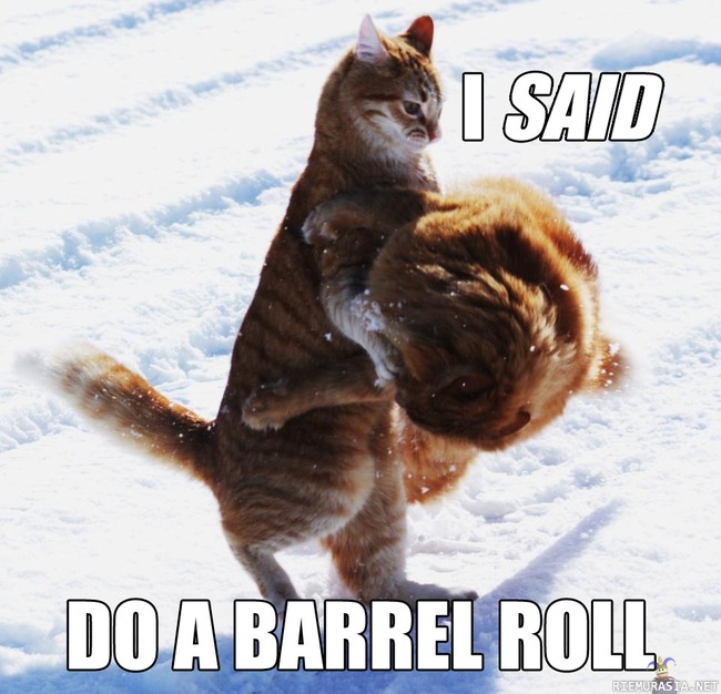 I SAID - do a barrel roll!