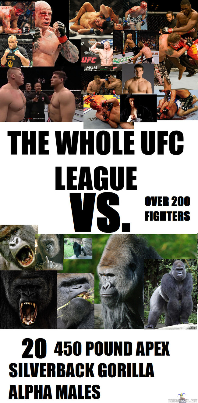 the whole UFC league vs. 20 silverback gorillas - Place your bets!