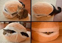 Ei mikään hod dog vaan cat sandwich