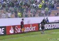 Fan hits referee in the head with ball