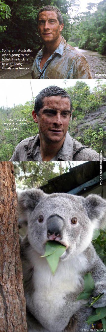 Bear Grylls Australiassa