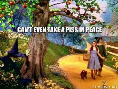 Noita puskassa - Ihmemaa Ozissa tapahtuu