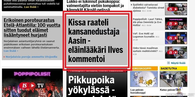 Kaikkea sitä sattuukin - Eläinkunnan uutiset