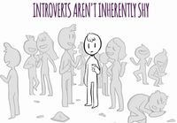 Introvertit