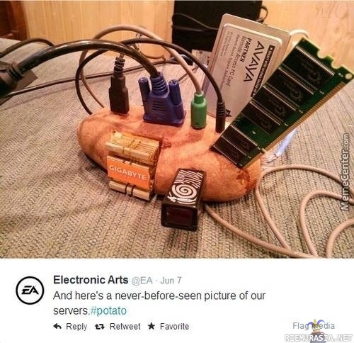 EA:n serverit - Pakko olla aito kun perunakaan ei ole kypsä!