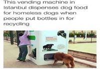 Koirille ruokaa kierrättämällä