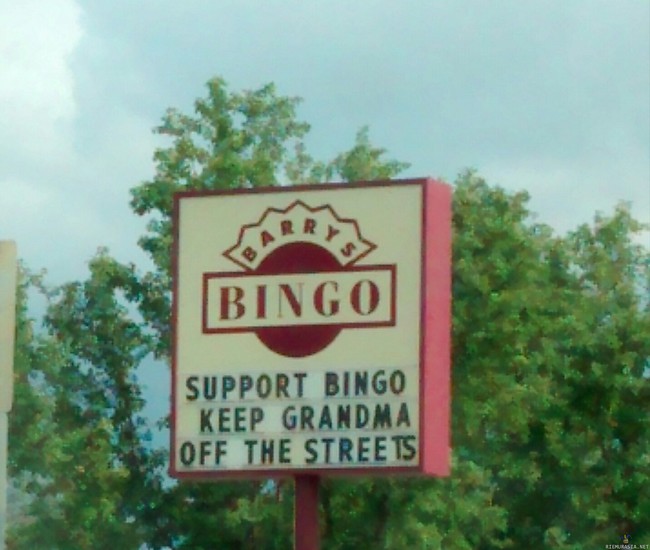 Bingo - pitää mummosi poissa kaduilta