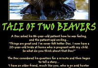 Tale of two beavers