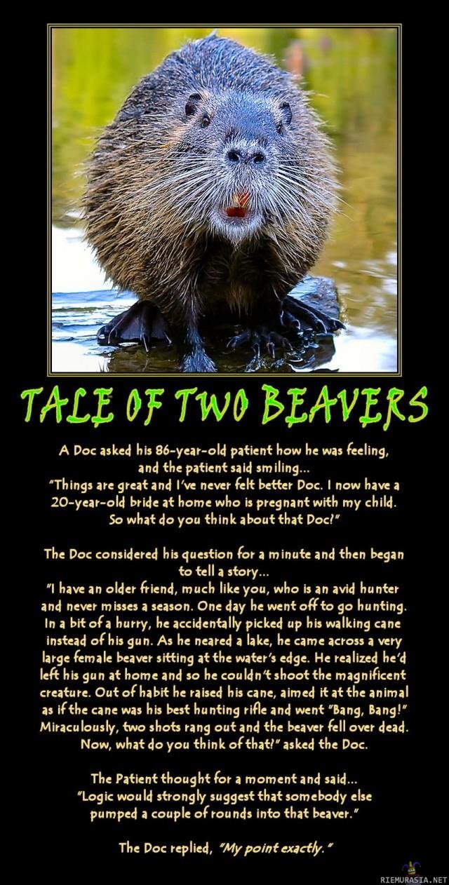 Tale of two beavers