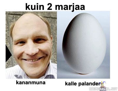 Kuin kaksi munaa