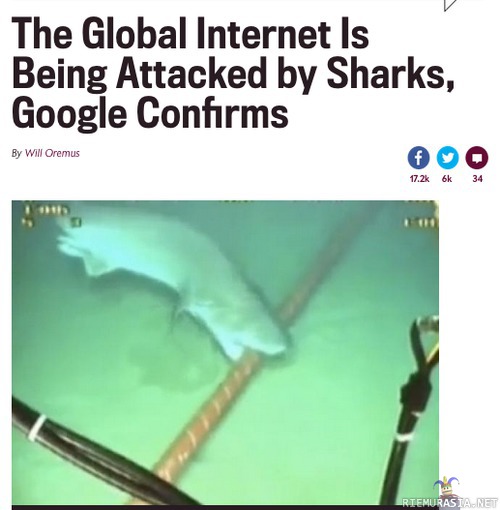 Nettiyhteydet haiden hyökkäyksen kohteena