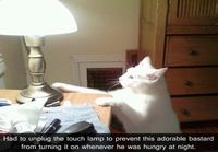 Touch lamp