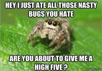 Nasty bugs