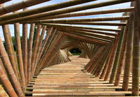 Bambusilta