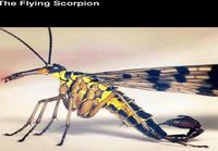 Lentävä skorpioni