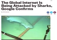 Nettiyhteydet haiden hyökkäyksen kohteena