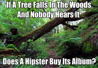 Jos puu kaatuu metsässä etkä ole kuulemassa sitä