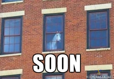 hevonen ikkunassa