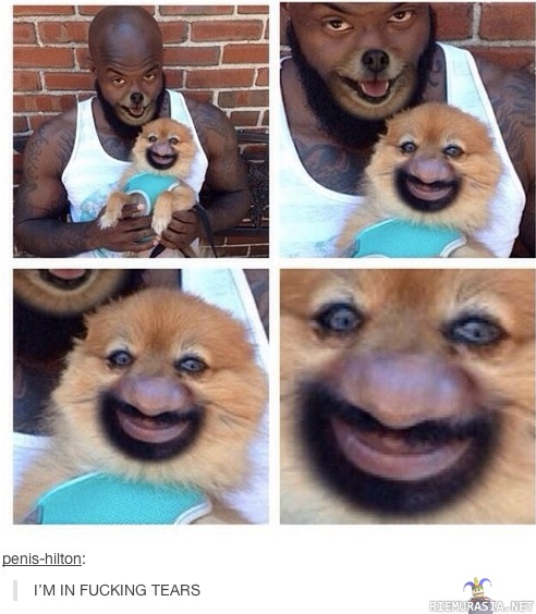 Faceswap