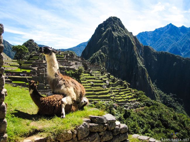Machu Picchu - Unescon maailmanperintökohde.
