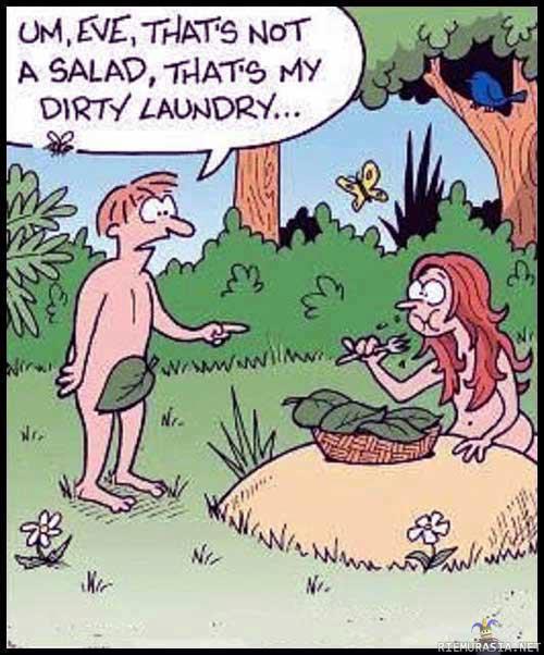 salaattia  - nami