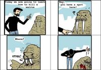 How to kill a walrus