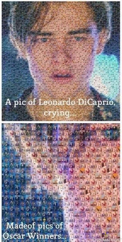Leonardo - ei ollu da vinci.