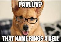 Pavlovin koirat